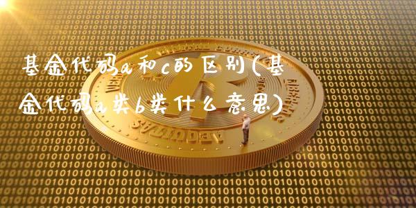 基金代码a和c的区别(基金代码a类b类什么意思)_https://www.yunyouns.com_期货直播_第1张