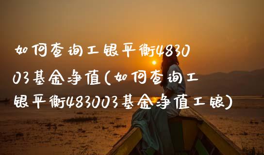 如何查询工银平衡483003基金净值(如何查询工银平衡483003基金净值工锒)_https://www.yunyouns.com_股指期货_第1张