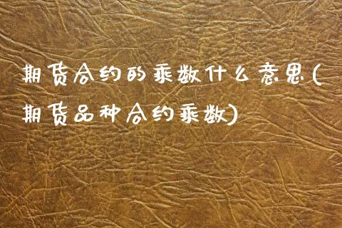 期货合约的乘数什么意思(期货品种合约乘数)_https://www.yunyouns.com_期货直播_第1张