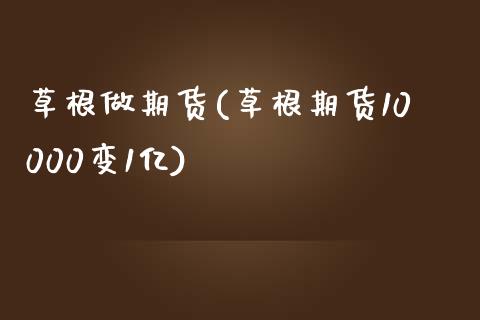 草根做期货(草根期货10000变1亿)_https://www.yunyouns.com_期货直播_第1张