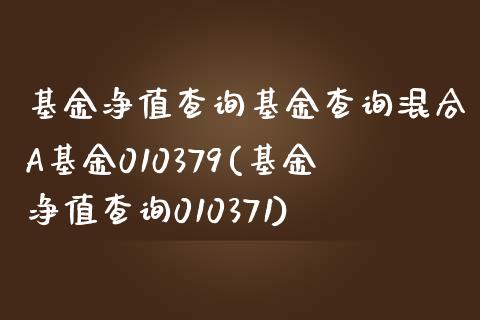 基金净值查询基金查询混合A基金010379(基金净值查询010371)_https://www.yunyouns.com_期货行情_第1张