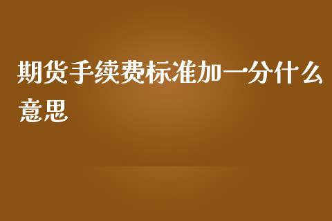 期货手续费标准加一分什么意思_https://www.yunyouns.com_期货直播_第1张