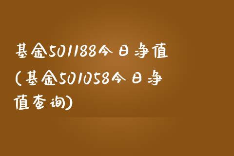 基金501188今日净值(基金501058今日净值查询)_https://www.yunyouns.com_期货直播_第1张