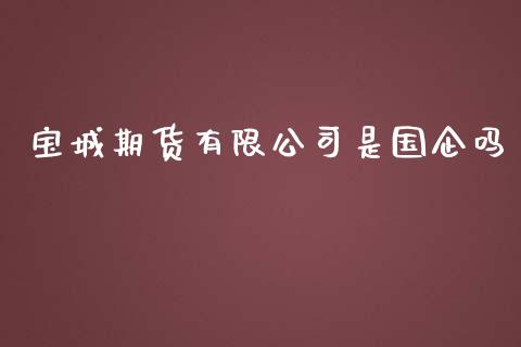 宝城期货有限公司是国企吗_https://www.yunyouns.com_股指期货_第1张