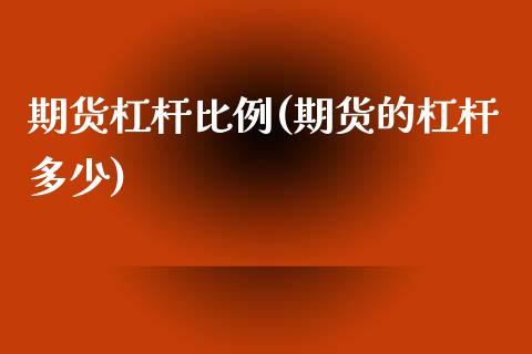 期货杠杆比例(期货的杠杆多少)_https://www.yunyouns.com_期货直播_第1张