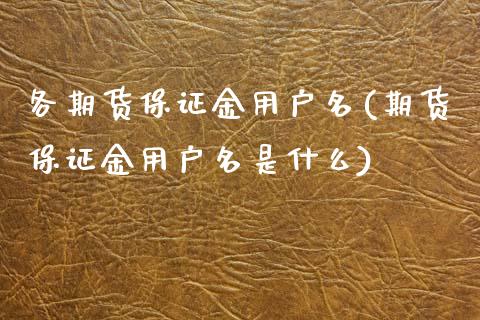 各期货保证金用户名(期货保证金用户名是什么)_https://www.yunyouns.com_恒生指数_第1张