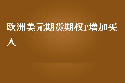 欧洲美元期货期权r增加买入_https://www.yunyouns.com_恒生指数_第1张