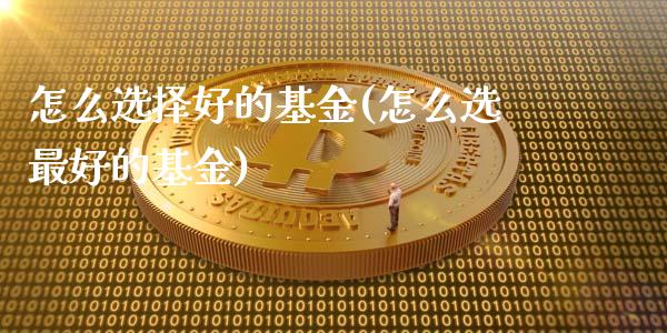 怎么选择好的基金(怎么选最好的基金)_https://www.yunyouns.com_股指期货_第1张