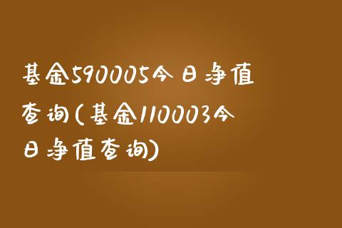 基金590005今日净值查询(基金110003今日净值查询)_https://www.yunyouns.com_期货行情_第1张