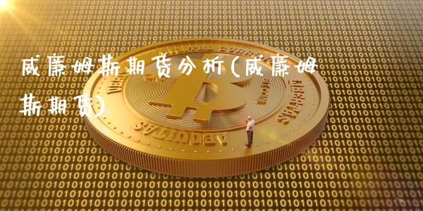 威廉姆斯期货分析(威廉姆斯期货)_https://www.yunyouns.com_股指期货_第1张