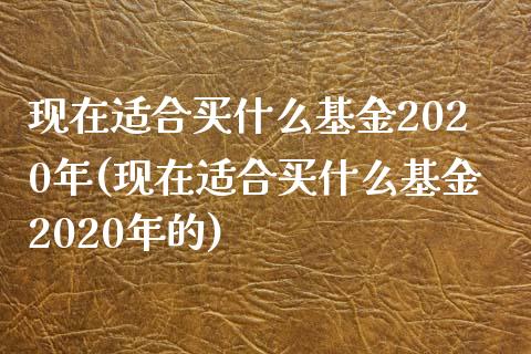 现在适合买什么基金2020年(现在适合买什么基金2020年的)_https://www.yunyouns.com_期货直播_第1张