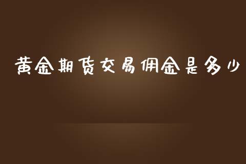 黄金期货交易佣金是多少_https://www.yunyouns.com_股指期货_第1张