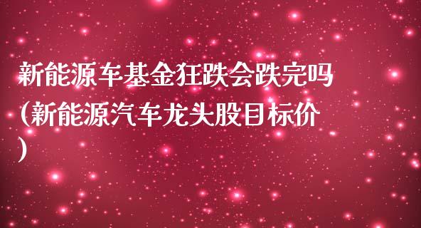 新能源车基金狂跌会跌完吗(新能源汽车龙头股目标价)_https://www.yunyouns.com_股指期货_第1张