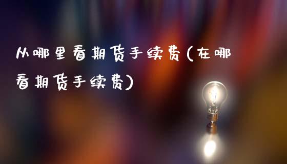 从哪里看期货手续费(在哪看期货手续费)_https://www.yunyouns.com_恒生指数_第1张