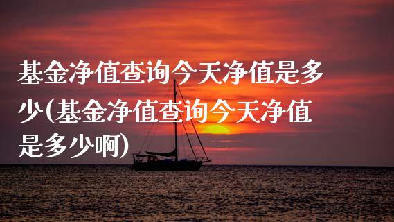 基金净值查询今天净值是多少(基金净值查询今天净值是多少啊)_https://www.yunyouns.com_期货行情_第1张