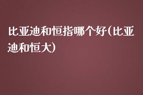 比亚迪和恒指哪个好(比亚迪和恒大)_https://www.yunyouns.com_恒生指数_第1张