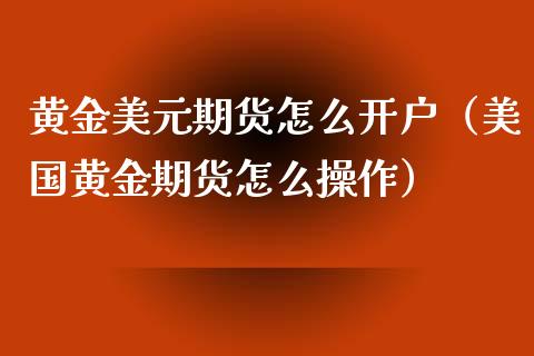 黄金美元期货怎么开户（美国黄金期货怎么操作）_https://www.yunyouns.com_恒生指数_第1张