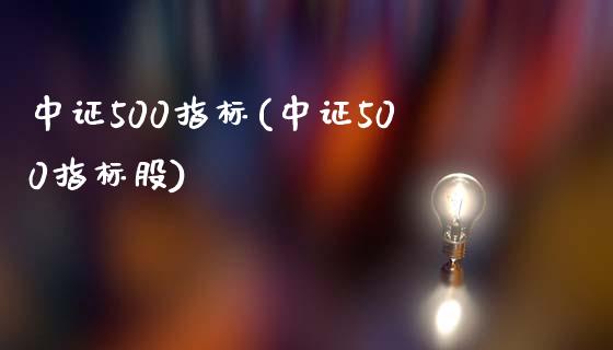 中证500指标(中证500指标股)_https://www.yunyouns.com_股指期货_第1张