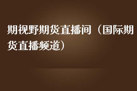 期视野期货直播间（国际期货直播频道）_https://www.yunyouns.com_期货直播_第1张