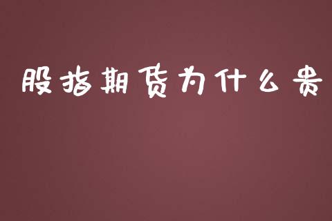 股指期货为什么贵_https://www.yunyouns.com_股指期货_第1张