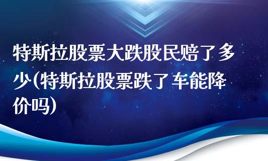 特斯拉股票大跌股民赔了多少(特斯拉股票跌了车能降价吗)_https://www.yunyouns.com_期货直播_第1张