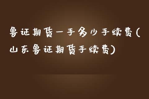 鲁证期货一手多少手续费(山东鲁证期货手续费)_https://www.yunyouns.com_期货直播_第1张