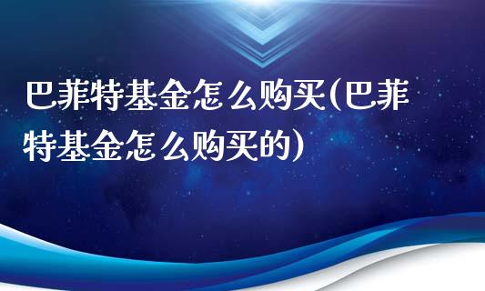 巴菲特基金怎么购买(巴菲特基金怎么购买的)_https://www.yunyouns.com_期货行情_第1张