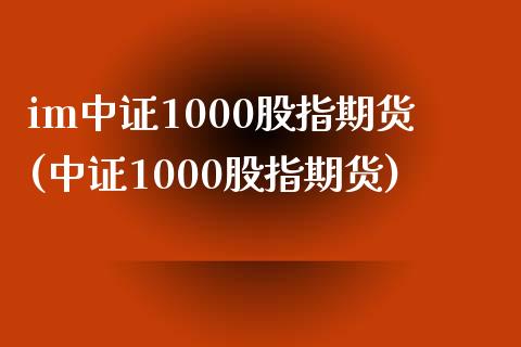 im中证1000股指期货(中证1000股指期货)_https://www.yunyouns.com_股指期货_第1张