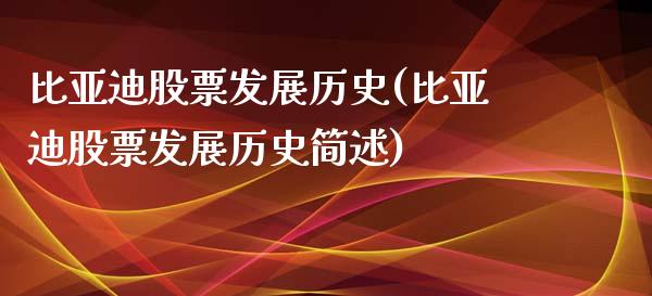 比亚迪股票发展历史(比亚迪股票发展历史简述)_https://www.yunyouns.com_期货直播_第1张