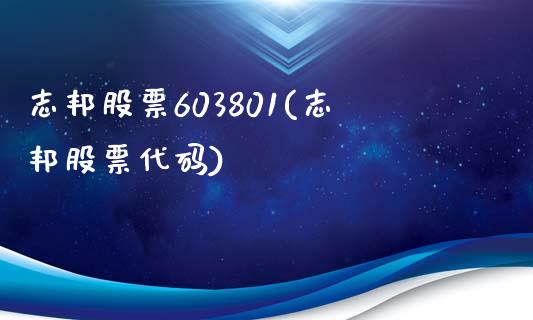 志邦股票603801(志邦股票代码)_https://www.yunyouns.com_股指期货_第1张