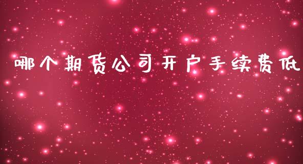 哪个期货公司开户手续费低_https://www.yunyouns.com_股指期货_第1张