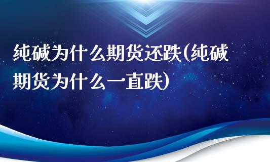 纯碱为什么期货还跌(纯碱期货为什么一直跌)_https://www.yunyouns.com_恒生指数_第1张