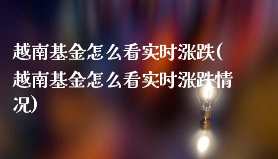 越南基金怎么看实时涨跌(越南基金怎么看实时涨跌情况)_https://www.yunyouns.com_期货直播_第1张