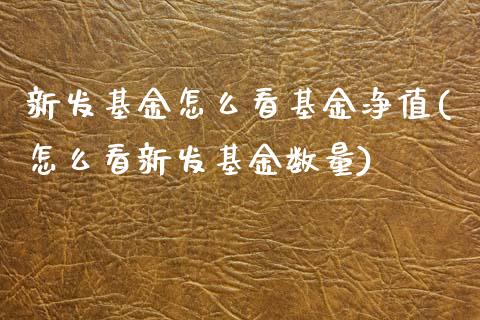 新发基金怎么看基金净值(怎么看新发基金数量)_https://www.yunyouns.com_恒生指数_第1张