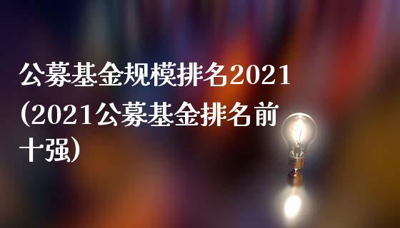 公募基金规模排名2021(2021公募基金排名前十强)_https://www.yunyouns.com_股指期货_第1张