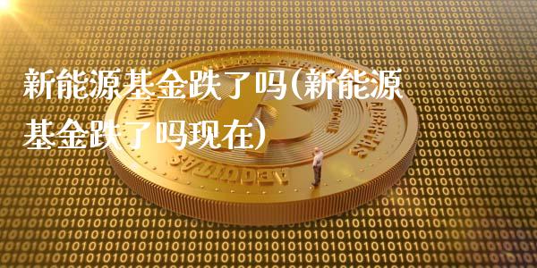 新能源基金跌了吗(新能源基金跌了吗现在)_https://www.yunyouns.com_恒生指数_第1张