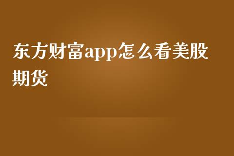 东方财富app怎么看美股期货_https://www.yunyouns.com_期货行情_第1张