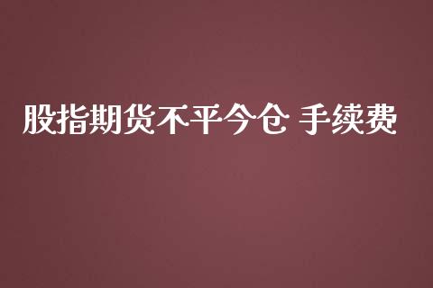 股指期货不平今仓 手续费_https://www.yunyouns.com_期货直播_第1张