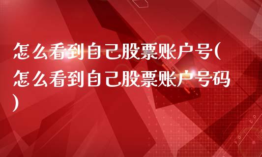 怎么看到自己股票账户号(怎么看到自己股票账户号码)_https://www.yunyouns.com_期货行情_第1张