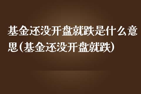 基金还没开盘就跌是什么意思(基金还没开盘就跌)_https://www.yunyouns.com_期货直播_第1张