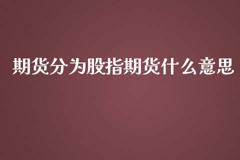 期货分为股指期货什么意思_https://www.yunyouns.com_期货行情_第1张