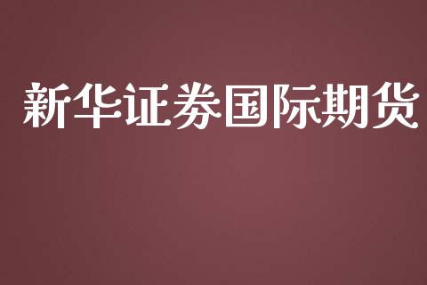 新华证劵国际期货_https://www.yunyouns.com_股指期货_第1张