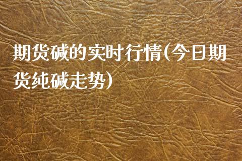 期货碱的实时行情(今日期货纯碱走势)_https://www.yunyouns.com_恒生指数_第1张