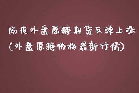 隔夜外盘原糖期货反弹上涨(外盘原糖价格最新行情)_https://www.yunyouns.com_期货直播_第1张