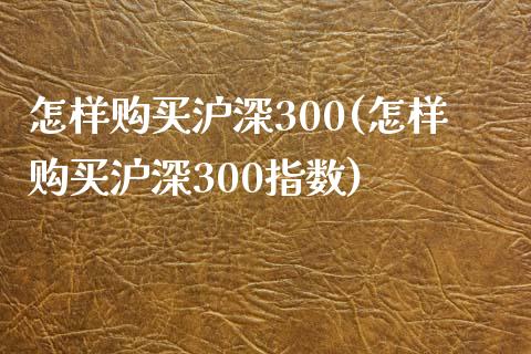 怎样购买沪深300(怎样购买沪深300指数)_https://www.yunyouns.com_股指期货_第1张