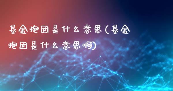 基金抱团是什么意思(基金抱团是什么意思啊)_https://www.yunyouns.com_期货直播_第1张