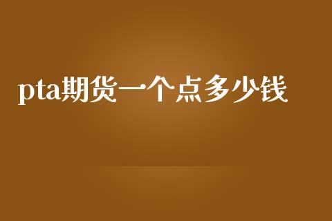 pta期货一个点多少钱_https://www.yunyouns.com_期货行情_第1张