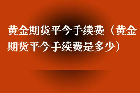 黄金期货平今手续费（黄金期货平今手续费是多少）_https://www.yunyouns.com_期货行情_第1张