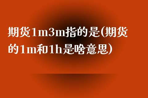 期货1m3m指的是(期货的1m和1h是啥意思)_https://www.yunyouns.com_期货直播_第1张