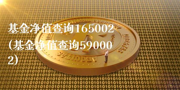 基金净值查询165002(基金净值查询590002)_https://www.yunyouns.com_期货行情_第1张